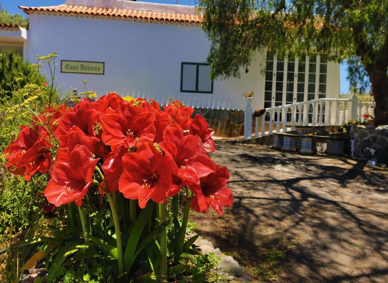 Casa Rural Dolores En Adeje أذيخي المظهر الخارجي الصورة